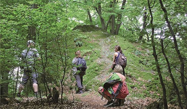 Durch die Führung von Dipl.-Biologe Immo Vollmer wurden Dinge wahrgenommen, an denen man sonst achtlos vorüber geht. privat