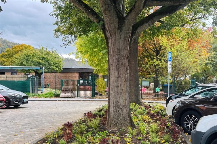 Durch die Neuanordnung der Stellplätze wurde mehr Platz für die vorhandenen Linden und ihre Wurzeln geschaffen. Bienenfreundliche Stauden sorgen in den neu gestalteten Pflanzbeeten für zusätzliches Grün. 