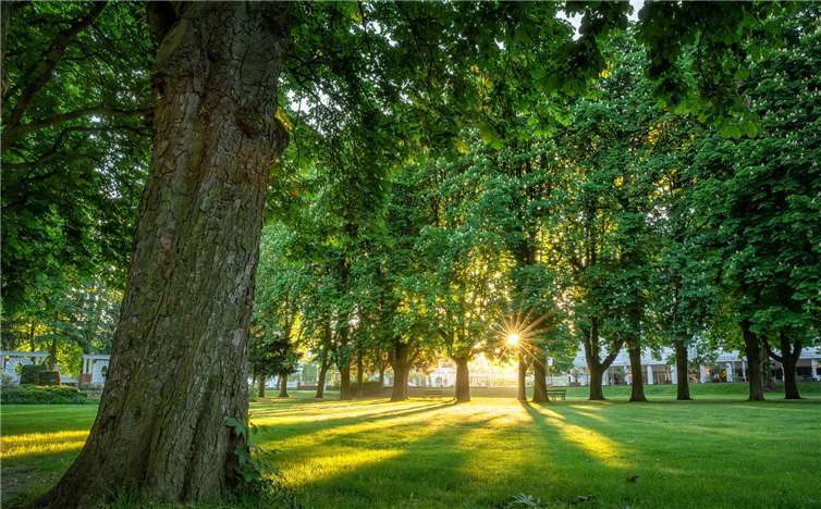 Durch die Verschiebung der Landesgartenschau in das Jahr 2023 haben sich auch Änderungen im zeitlichen Bauablauf für den Kurpark ergeben. Foto: Kai Schneiders