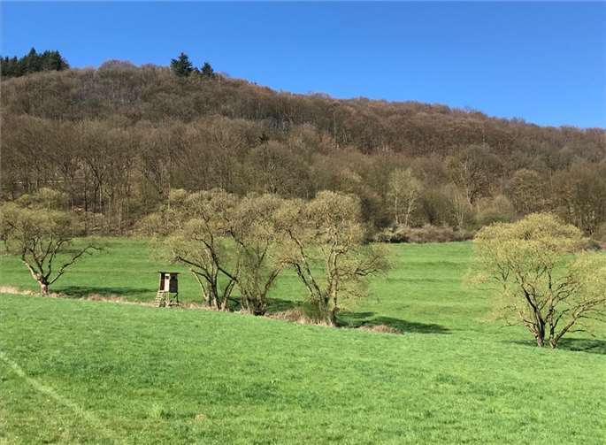 Durch die fast 60 Jahre andauernde Naturparkarbeit konnte eine einmalige Kulturlandschaft erhalten werden. Foto: Naturpark Rhein-Westerwald