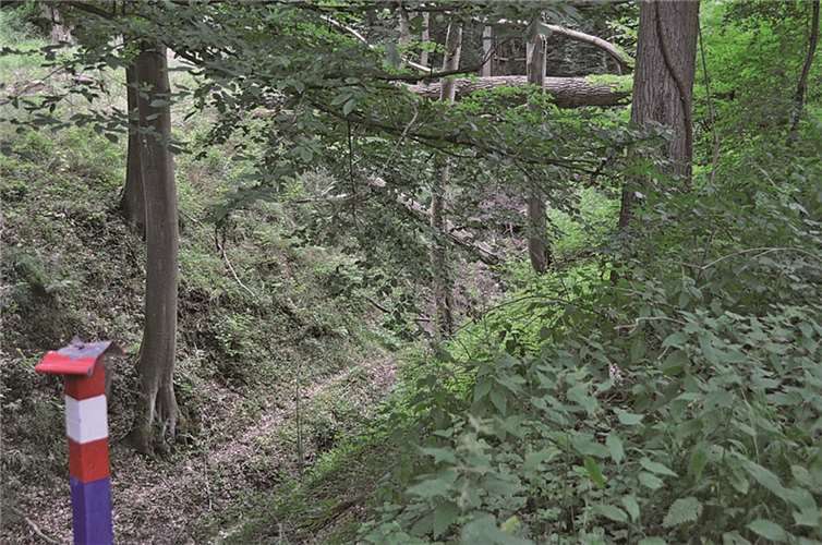 Durch die starken Regenfälle wurde Geäst in den Unkelbach gespült, was zu Verstopfungen führte. AB