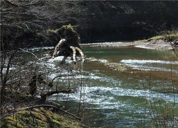 Durch ihre Dynamik verändert die Ahr immer wieder ihren Flusslauf.Fotos: WITE