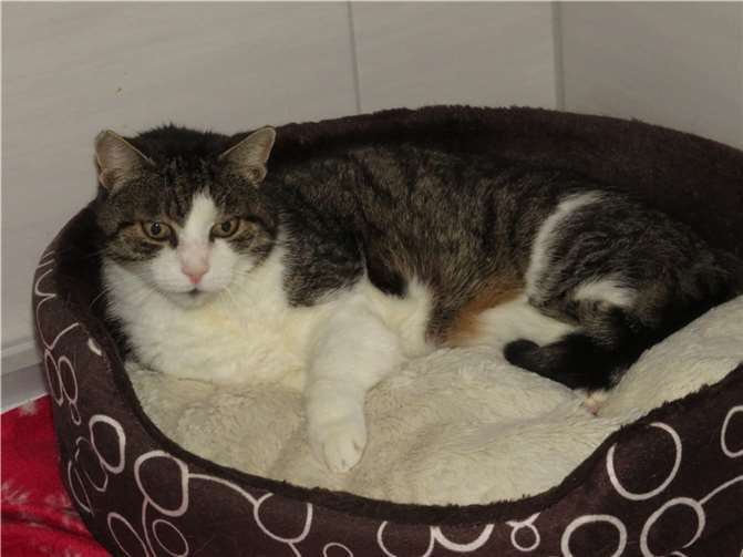 Dusa.  Fotos: privat