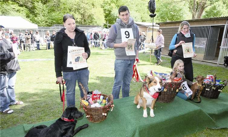 Dusty, ein English-Shepherd aus Mertloch gewann in diesem Jahr die Konkurrenz des Mister Mischling. Herrchen Phillip Hoyer freut sich über einen prall gefüllten Präsentkorb. Diego von Sonja Lorch (re.) aus Weibern wurde Zweiter und Buddy von Manuela Laubenthal aus Polch Dritter. WE
