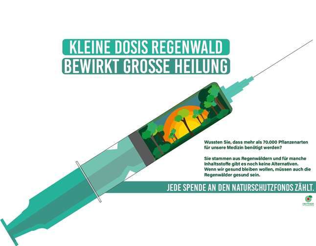 Ebenso erfolgreich waren Elif Minkeser, Anna Schuh und Viktor zur Oven, die den dritten Platz mit ihrem Plakat zur Bedeutung des Regenwalds für Medikamente belegten. Fotos: Glasfachschule NRW