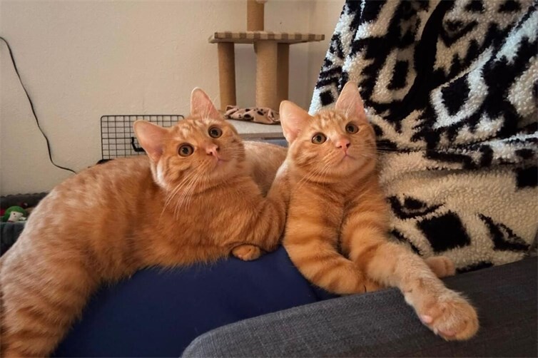 Eddie und Arvid