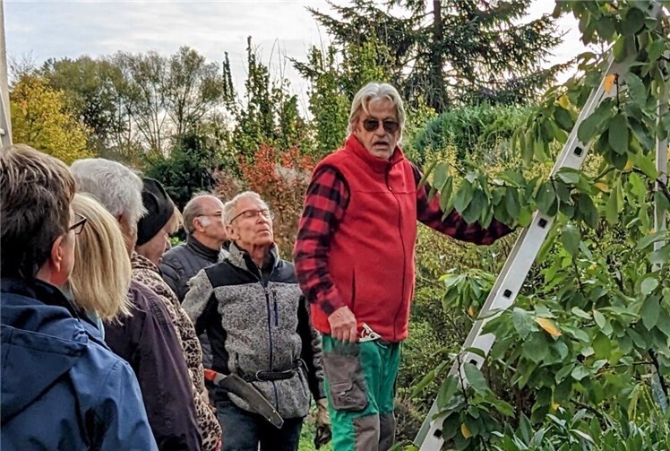 Eduard Richarz vermittelte sein großes Wissen mit praktischen Anleitungen regelmäßig beim „Goldenen Schnitt“ des Obst- und Gartenbauvereins Rheinbreitbach.