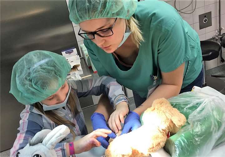 Egal ob Maulwurf, Teddy, Esel oder Hase – beim Familiengesundheitstag im St. Elisabeth Mayen versorgen die Teddy-Docs fleißig die Kuscheltiere der kleinen Besucher.  privat