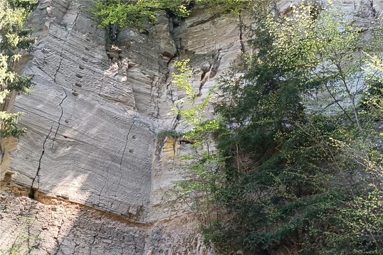 Ehemaliges Abbaugebiet Leientälchen mit sichtbaren Spuren.