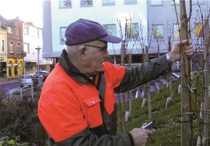 Ehrenamtlich kümmert sich Richard Ibald um die Pflege der Reben; Interessierte sind eingeladen, ihn zu begleiten und die richtige Pflege zu erlernen.privat