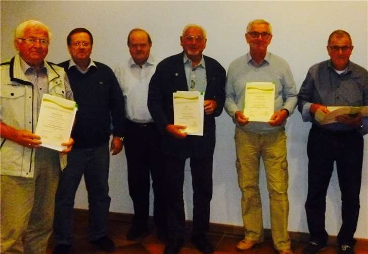 Ehrung der Vorstandsmitglieder: (v.l.) Werner Hackenbruch (VWE-Nadel Gold), Manfred Stiebitz, Werner Kroneberger, Peter Zell (VWE-Nadel Gold), Franz-Josef Grüdl (VWE-Nadel Gold ), Rudi Nett (VWE-Nadel Silber ). privat