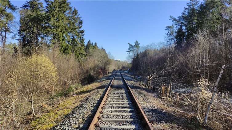 Eifelquerbahn zwischen Kaisersesch und Laubach.  Foto: Eifelquerbahn e. V. / Jens Wießner