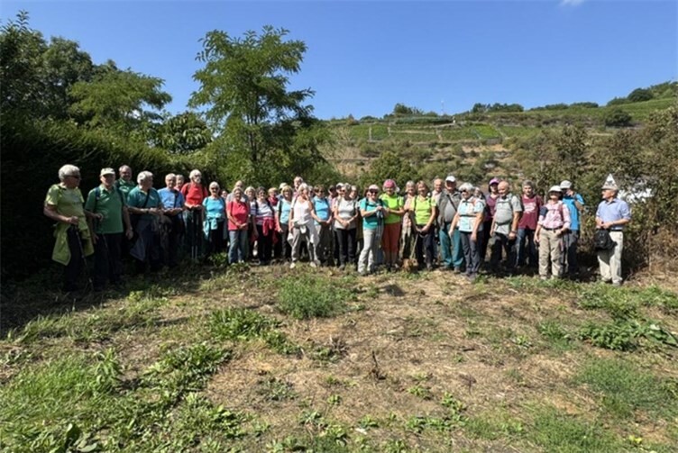 Eifelverein Mayen von Wolken nach Güls