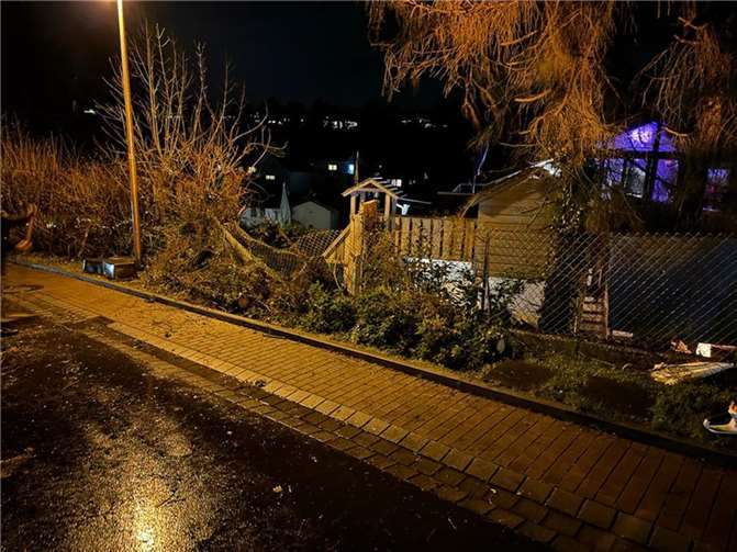 Ein Baum stürzte auf einem Gartenzaun. Foto: Freiwillige Feuerwehr Wachtberg
