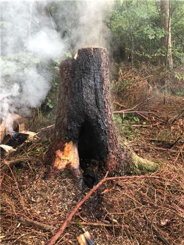 Ein Baumstamm der gerade noch gelöscht werden konnte.  Foto: privat