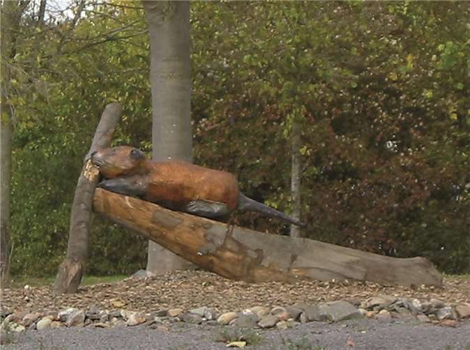 Ein Bieber aus Holz ziert nun den Kreisel an der Aubachstraße.privat
