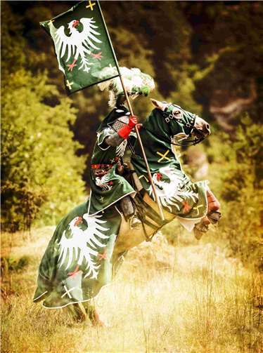 Ein Bild zur Show der Arturius Horse Stunt Team. Foto: Thomas Hartig