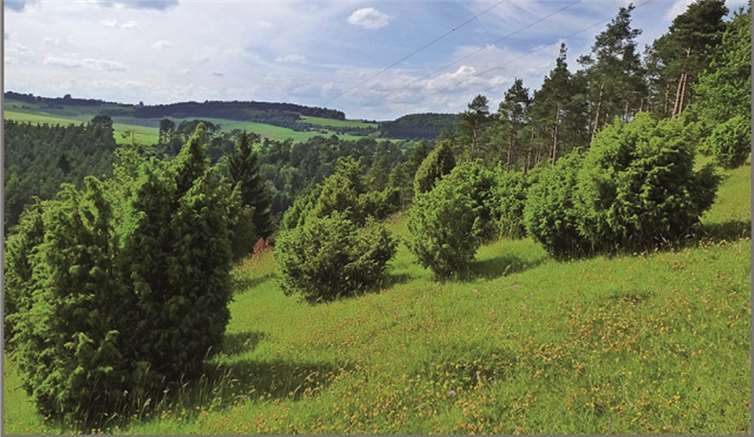 Ein Blick ins romantische Lampertstal.privat