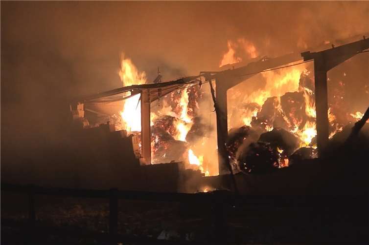 Ein Blitzeinschlag entzündete in der Nacht auf Samstag die Lagerhalle und den Reitstall eines Aussiedlerhofs in Birresdorf.