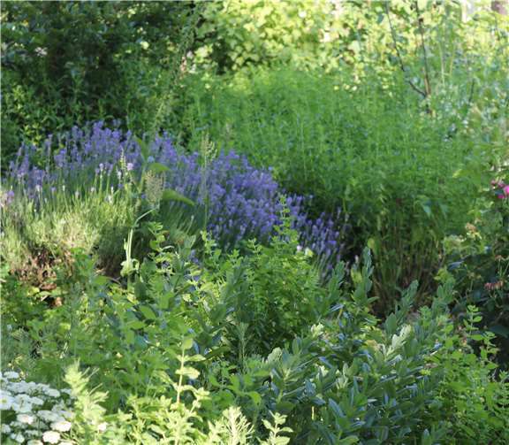 Ein Blumengruß zum Selbermachen, in Form einer Tüte mit Samen, wird an die Haushalte in Rengsdorf verteilt. Foto: privat