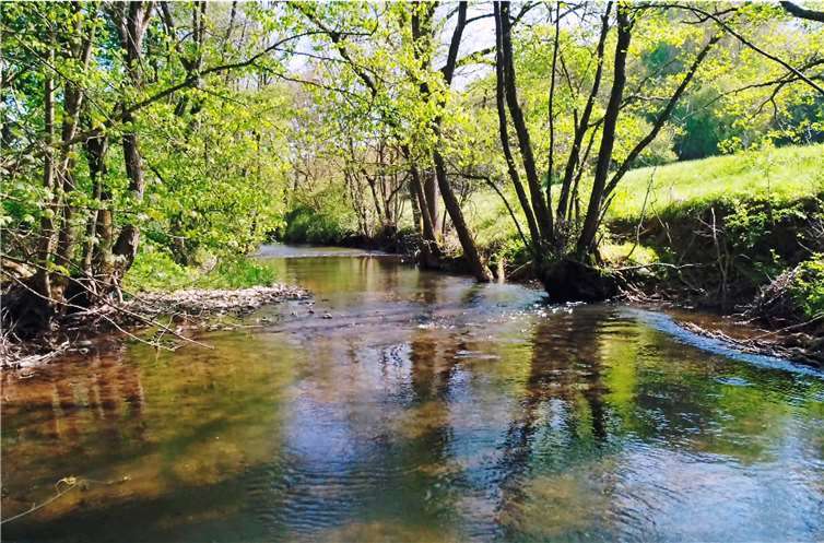 Ein Fluss in fünf Akten - Hinter den Kulissen der Ahr“, am Freitag (24.05.19) um 18:15 Uhr. © SWR