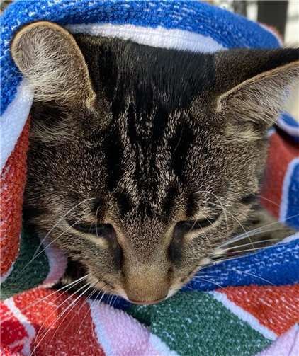 Ein Flutopfer mit Handtuch.  Foto: privat