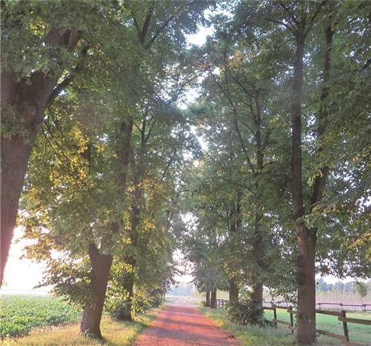 Ein Freiraumkonzept soll die verschiedenen Bedürfnisse von Bürgern und Landwirtschaft verbinden.CDU Swisttal