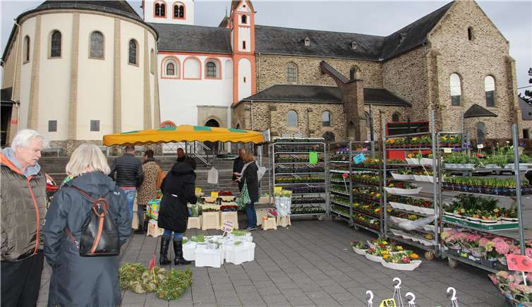 Ein Hauch von Frühling vor der Medarduskirche. GM
