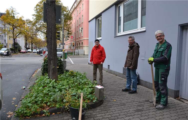 Ein Hinweisschild unter einem Straßenbaum in der Roonstraße bittet um Rücksichtnahme für das Beet von Norbert Meyers (von links). Gärtnermeister Gert Wieprecht und Maurer Ingo Pid vom Eigenbetrieb Grünflächen- und Bestattungswesen baute es ein. Foto: Stadt Koblenz