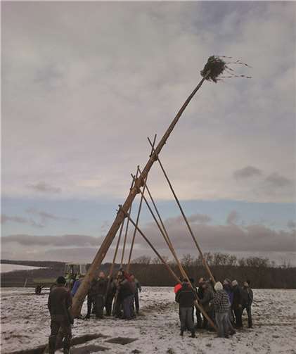 Ein Höhepunkt war die sehr gute Beteiligung der Dorfjugend beim Aufstellen des traditionellen Kirmesbaumes per Muskelkraft. privat