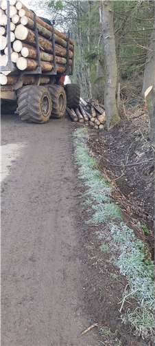 Ein Holztransporter, wie er durch den Entwässerungsgraben fährt. Um sich dort nicht festzufahren, wurden Holzstämme in den Garben gelegt.