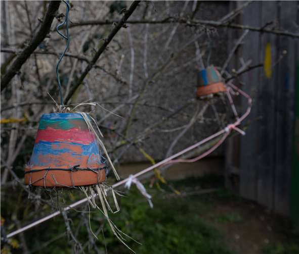 Ein Hotel für besondere Helfer hängt nebenan im Baum: Ohrenkneifer wohnen hier und fressen Blattläuse.