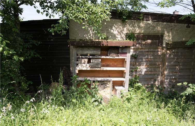 Ein „Insektenhotel“ bietet verschiedenen Wildbienenarten Kinderstuben in Form von Bohrlöchern.CEW