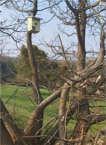 Ein Meisenkasten.Quelle: