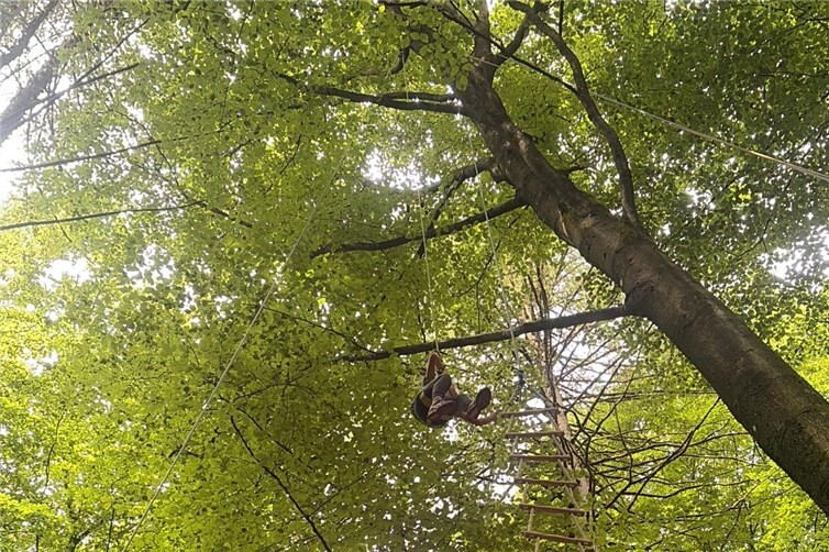 Ein Perspektivwechsel der besonderen Art: Gut gesichert kletterten die Kinder bis in die Baumkronen und entdeckten den Wald aus einer neuen Perspektive.