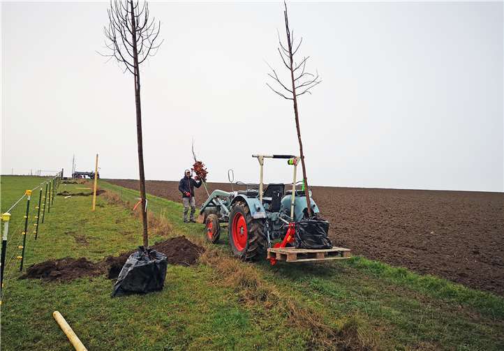 Mehr Biodiversität in MYK Ein Projekt, dass sich bereits in der Umsetzung befindet: Die Baumreihe in Mörz.Quelle: Kreisverwaltung Mayen-Koblenz