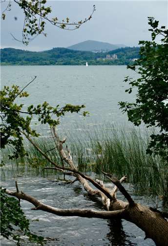 Ein Spaziergang am Ufer des Sees eröffnet Einblicke in eine andere Welt.