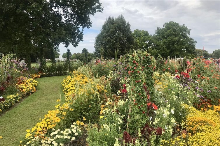 Ein Staudengarten blüht „alle Jahre wieder“