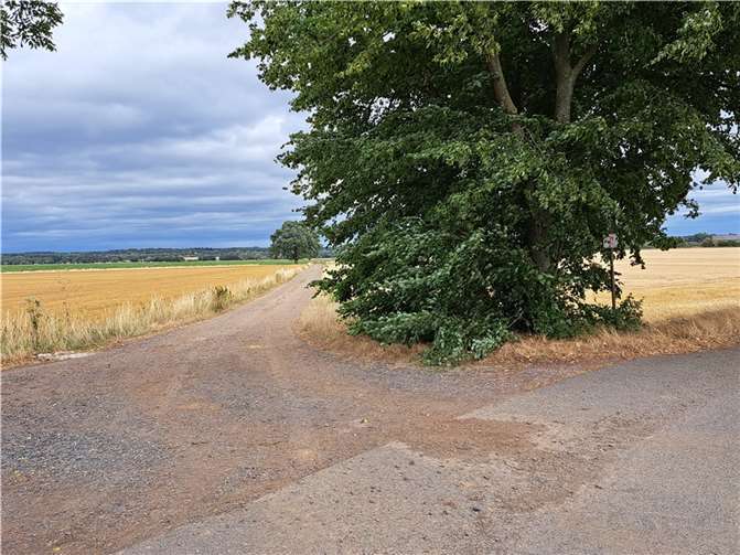 Ein Stück Wirtschaftsweg, der durch Asphaltierung als Radweg ertüchtigt werden soll. Foto: SPD-Fraktion Swisttal