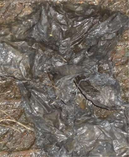 Ein Stück einer schwarzen Mülltüte zum Sammeln von Hundekot hatte sich um einen Ansaugschlauch geschmiegt.Foto: privat