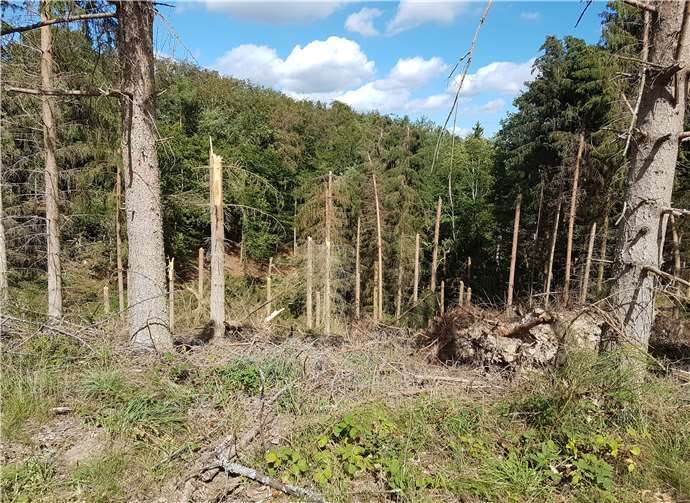 Ein Sturm hat große Verwüstungen zur Folge.