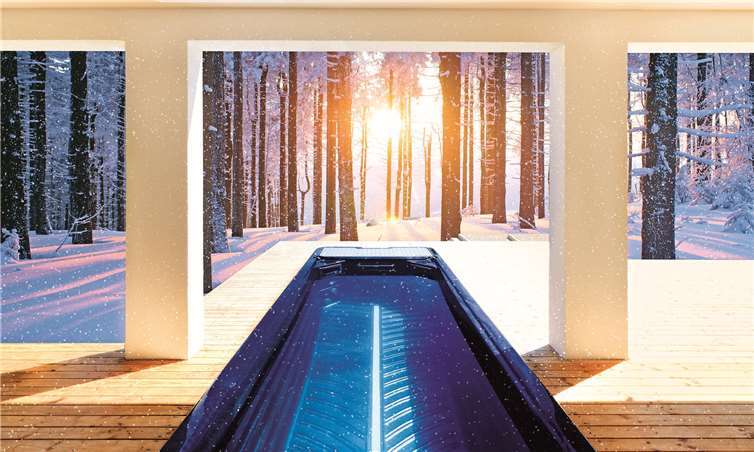 Ein Swim-Spa.psynovec