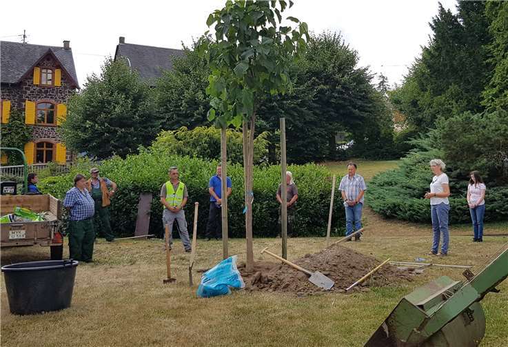 Ein Symbol der Hoffnung in schwierigen Zeiten soll er sein: Der neu angepflanzte Blauglockenbaum wird zum symbolischen „Hoffnungsbaum“ im Schlosspark der Barmherzigen Brüder Saffig.Foto: privat