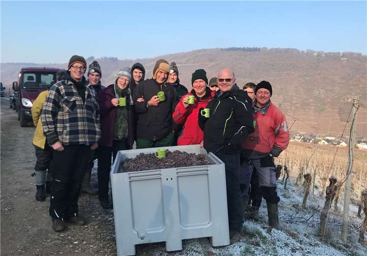 Geduldiges Warten wurde letztendlich belohnt Ein Team des Ernster Weingutes Göbel-Schleyer-Erben konnte am 21. Januar einen besonderen Eiswein ernten.Privat