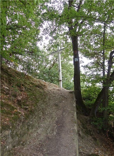 Ein Teil der Strecke des neuen Bärenkopplaufs. Foto: Josef Hoß