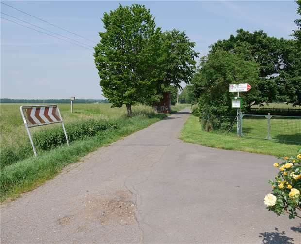 Ein Teil des Radwegs entlang der Swist soll saniert werden. Foto: privat