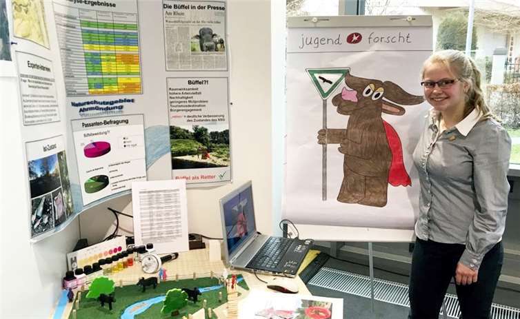 Ein Thema, das zurzeit in Sinzig lebhaft diskutiert wird, ist die Ansiedlung von Wasserbüffeln an der Ahrmündung. Vivien Christl vom Rhein-Gymnasium analysierte für ihren „Jugend forscht“-Beitrag zunächst den Ist-Zustand. Foto: privat