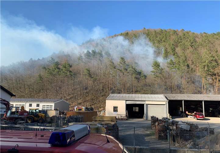 Ein Waldbrand von etwa einem Hektar forderte die Feuerwehren der Verbandsgemeinde Adenau an Gründonnerstag.Foto: Feuerwehren der VG Adenau