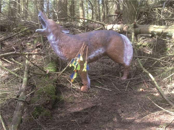 Vereinsmeisterschaft im 3-D Feldbogenschießen Ein Ziel der Rheinbacher Bogenschützen: Wolf Harald. privat