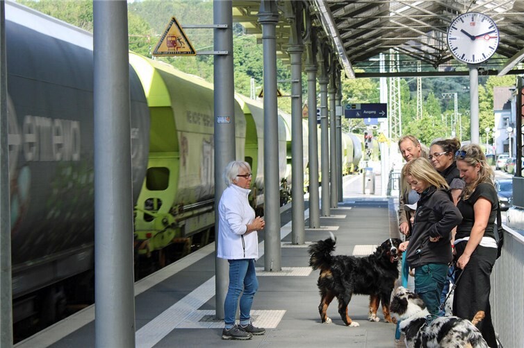Ein Zug fährt durch
